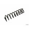 Lesjofors Coil Spring, 4204231 4204231 - alternate 2
